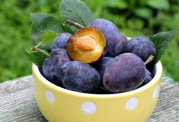 Fototapeta premium Purple fresh ripe organic plums in a ceramic bowl on a table in the garden on blurred background. Fall harvest and jam making concept. 
