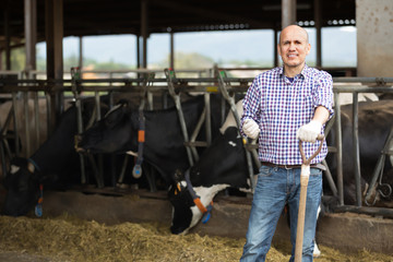 Fototapeta na wymiar Happy man farm worker feeding cows with hay