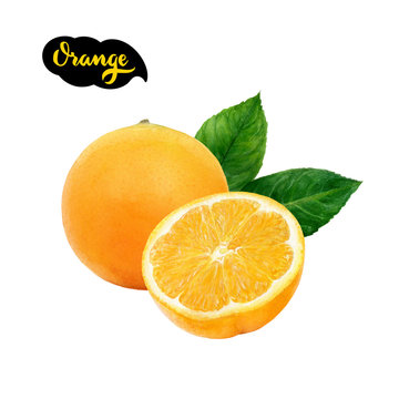 Orange fruit watercolor isolated on white background