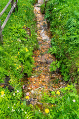 Fototapeta premium Ein Bach fließt durch eine Wildblumenwiese