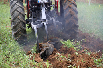 tractor plowing the field