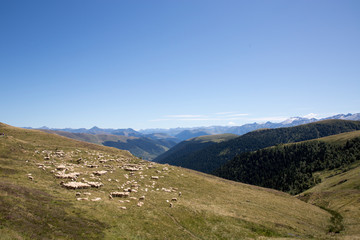 Paysage de montagne Pyrenees hill France
