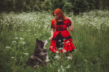 Girl with big grey dog on the nature background at summer time. Lifestyle photo.