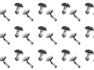 Botanical seamless pattern with mushrooms. Natural elements hand painted with pencils. Floral watercolor background. Autumn, fall, forest.