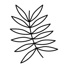 Isolated leaf vector design vector illustration