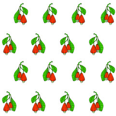 Endless cashew plant. Colorful red cashew nuts fruits green leaves pencil hand drawn art design element stock vector illustration for web, for print, for wallpaper