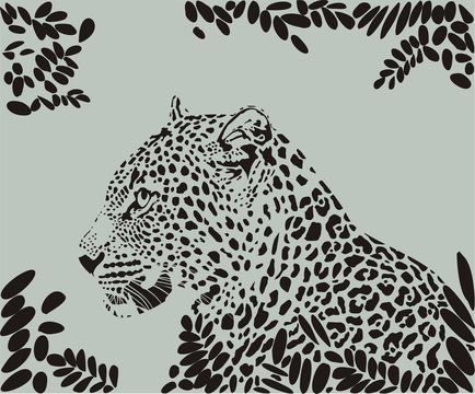 africa, animals, backgrounds, big cat, black, camouflage, carnivore, drawing, design, fashion, feline, hunting, leopard, leaves, mammal, nature, pattern, power, predator, safari, speed, spots, strengt