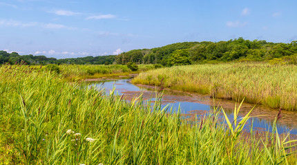 Tidal creek in a marsh
