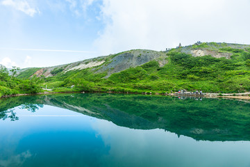 自然　登山　旅行 白馬大池