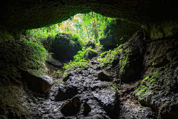 Exit of a cave seen from the inside. You can see lianas and the vegetation of a jungle. Amazon,...