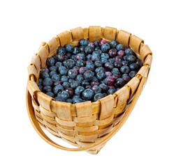 fresh blueberries in a basket isolated on white background