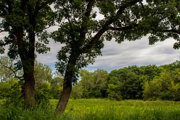 Fototapeta premium Moraine Hills State Park