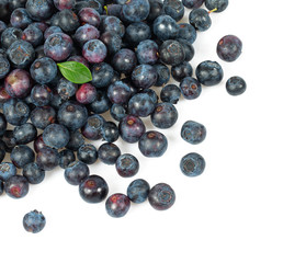 fresh blueberries isolated on white background