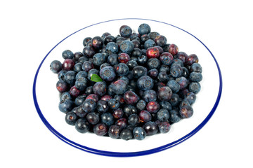 fresh blueberries in mettalic plate
