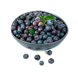 fresh blueberries in a black bowl