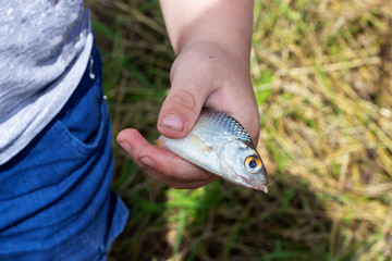 fresh fish in hand