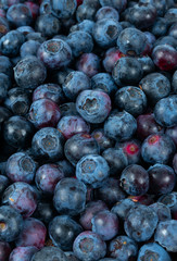 fresh ripe blueberries background