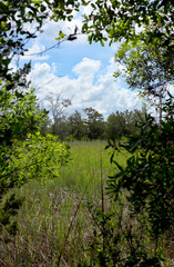 View of a meadow in Georgia