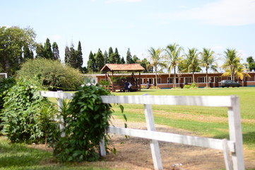 Farm and nature