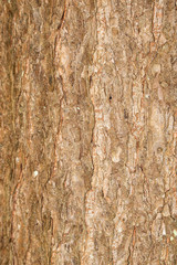 Textures and abstract view