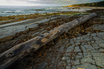 Good Morning!! Crystal Cove State Park. Lovely walk with gorgeous light, clouds, rocks formations, and ocean view