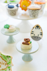 safari themed desserts for children's party