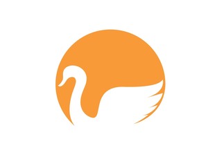 Swan logo Template vector illustration