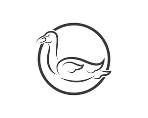 Swan logo Template vector illustration