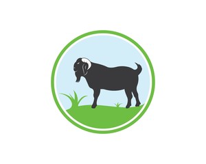 Goat Logo Template vector illustrtion