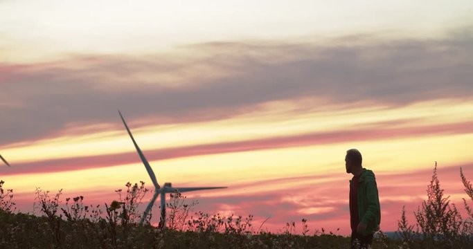 Excited man walking through greenland in the counrtside watching large wind turbines spinning in pink sunset sky. Beautiful summer scenery.