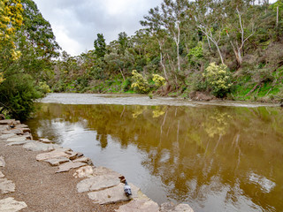 Yarra Edge