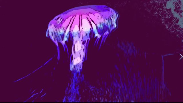 jellyfish Japanese sea kettle moving underwater comic book style animation footage - stock, video, film, clip, 