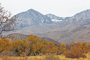 Autumn in Sierra Nevada - California