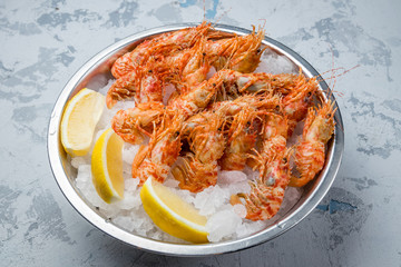 boiled shrimp on ice on grey concrete table