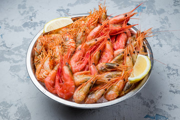 boiled shrimp on ice on grey concrete table