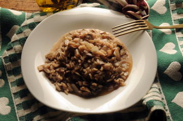 Risotto al radicchio rosso di Treviso ft8101_5269 tardivo