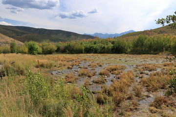 Marshes of Cascade Springs, Alpine Loop scenic byway, Heber, Utah