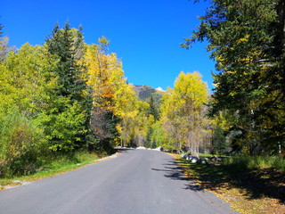 Fall colors along the Alpine Loop Scenic drive in early October near Alpine, Utah