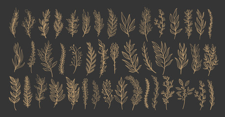 Abstract silhouette branch leaves nature set collection hand drawn. Ethnic ornament, floral print, textile fabric, botanical element.  © ArinaKram