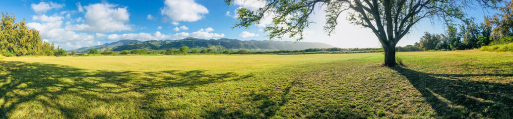 Fototapeta premium Panorama landscape on the north shore of Oahu Hawaii