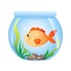 cute gold fish in glass bowl aquarium with stones and green plants