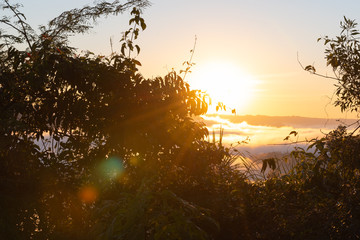 Winter Dawn in Jaguari mountains, Brazil 11