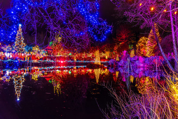 Christmas Lights Reflection Van Dusen Garden Vancouver BC Canada