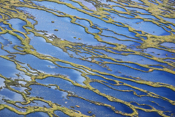 Sphagnum fields in the swamps of James Bay seen from the sky by helicopter (Quebec, Canada)