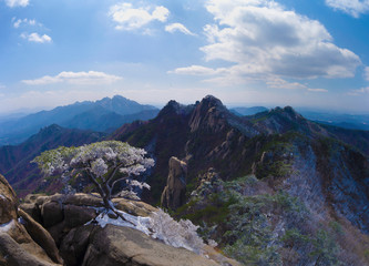 북한산.신선대 .주봉. 춘설.설경. 겨울.풍경.서울.국립공원.