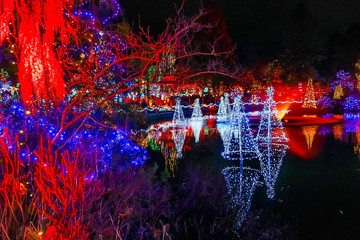Christmas Lights Reflection Van Dusen Garden Vancouver BC Canada