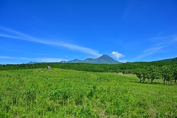 フレペの滝遊歩道から見る青空バックの知床連山の情景＠知床、北海道