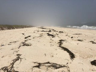 footprints in sand