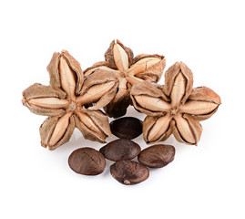 sacha inchi peanut seed on white background