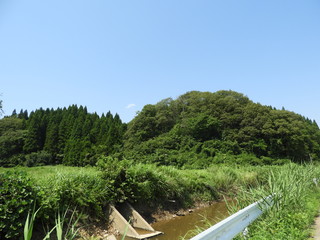 夏の農村風景